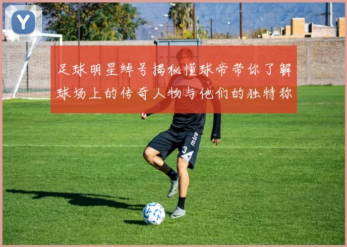 足球明星绰号揭秘懂球帝带你了解球场上的传奇人物与他们的独特称号