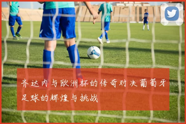 齐达内与欧洲杯的传奇对决葡萄牙足球的辉煌与挑战
