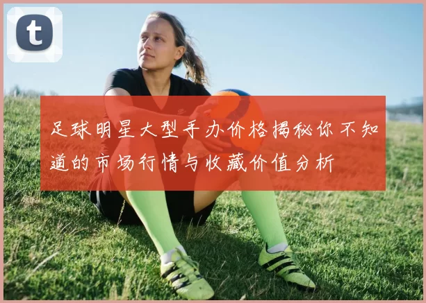 足球明星大型手办价格揭秘你不知道的市场行情与收藏价值分析