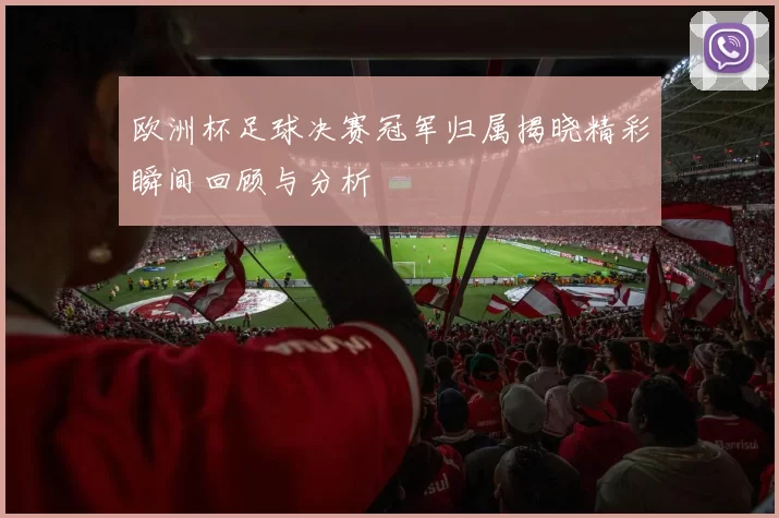 欧洲杯足球决赛冠军归属揭晓精彩瞬间回顾与分析
