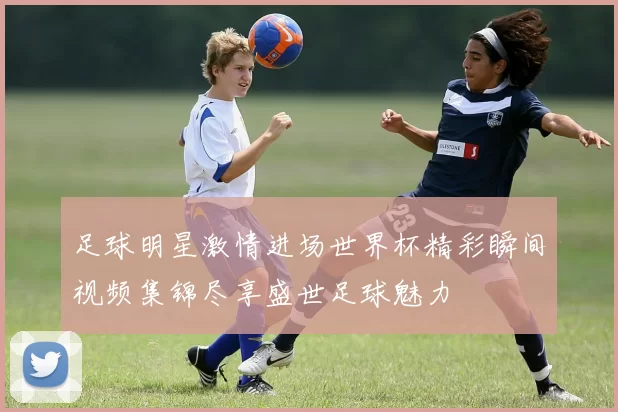 足球明星激情进场世界杯精彩瞬间视频集锦尽享盛世足球魅力