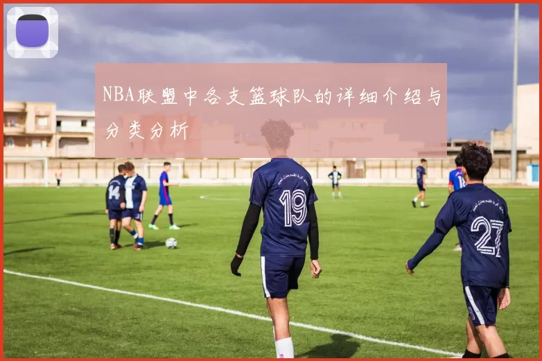 NBA联盟中各支篮球队的详细介绍与分类分析